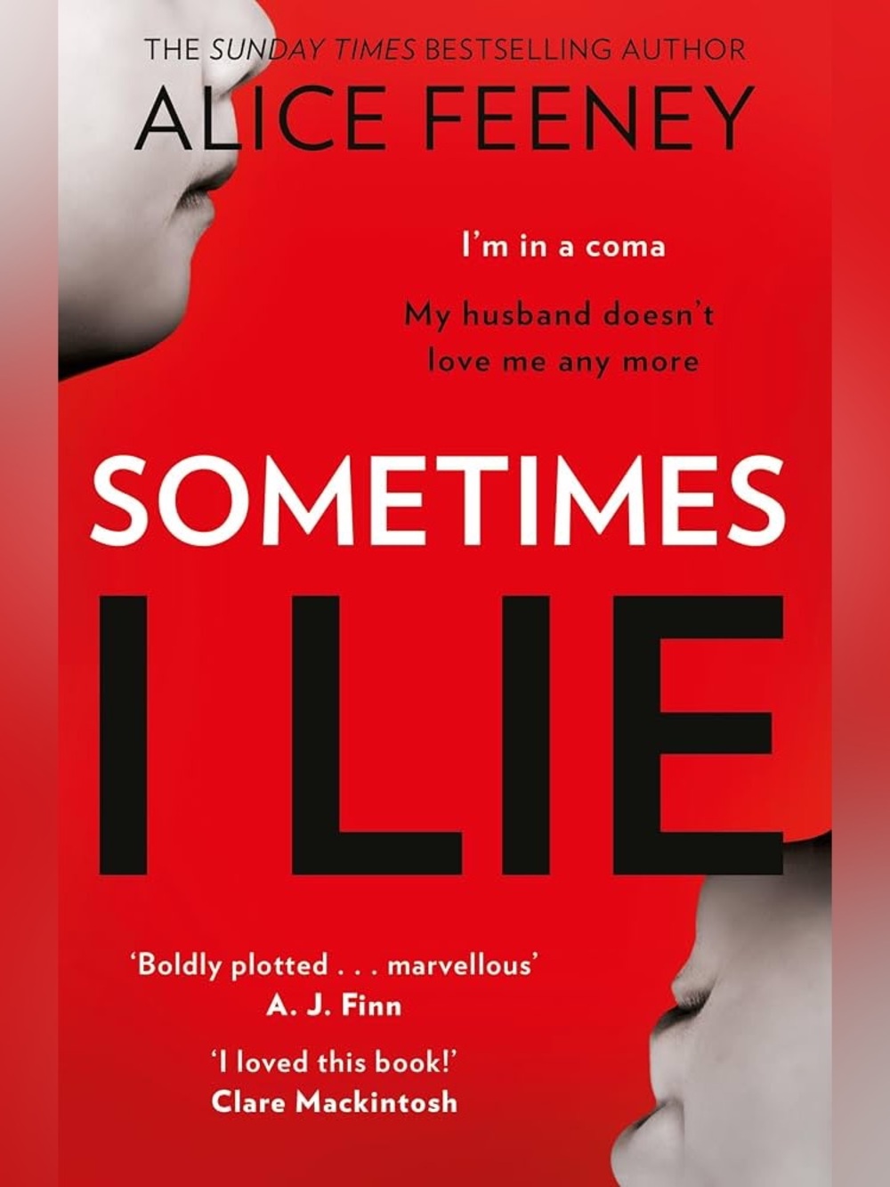 Sometimes I Lie by Alice Feeney paperback
Novel book